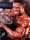 Flex Wheeler