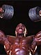 Flex Wheeler