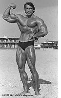 Arnold Schwarzenegger