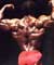 Lee Haney - Mr Olympia 1984-1991