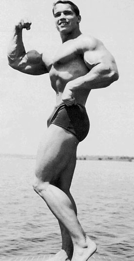 Arnold Schwarzenegger Bodybuilder Photo