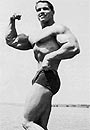 Arnold Schwarzenegger Picture