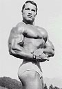 Arnold Schwarzenegger Picture