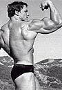 Arnold Schwarzenegger Picture