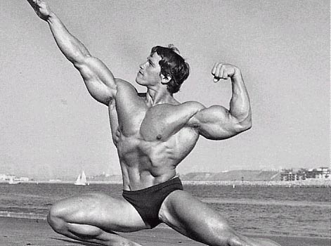 Arnold Schwarzenegger Bodybuilder Photo