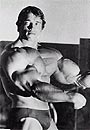 Arnold Schwarzenegger Picture