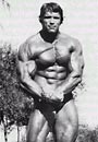 Arnold Schwarzenegger Picture