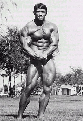 Arnold Schwarzenegger Bodybuilder Photo