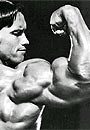 Arnold Schwarzenegger Picture