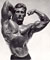 Frank Zane - Mr Olympia 1977 - 1979