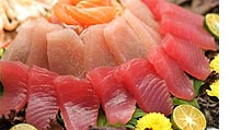 High Protein Diet Food