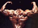 Rear Delts