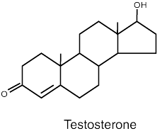 Prosteroid